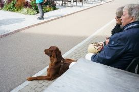 Duo Sax & Perc 